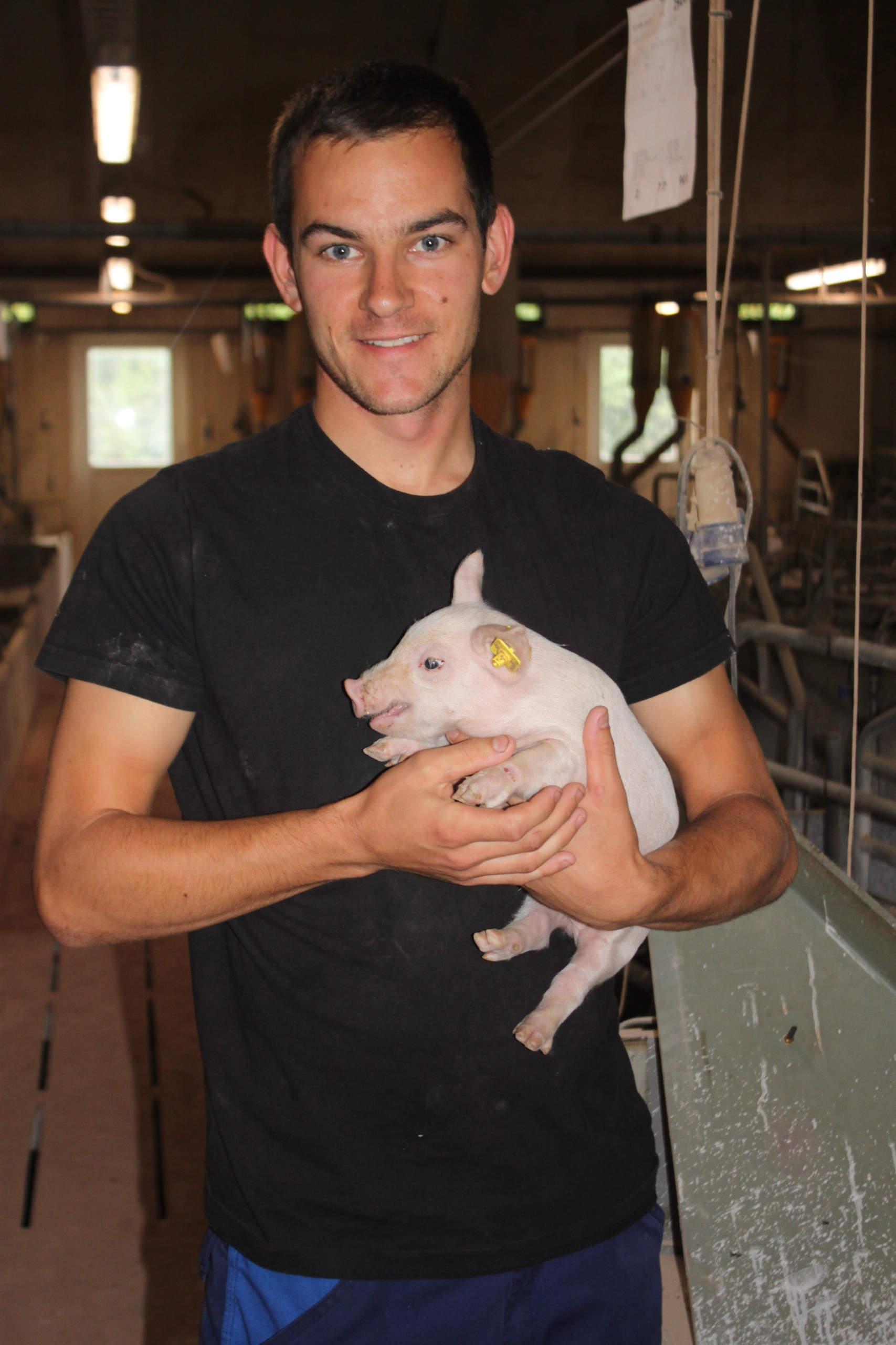 Operations manager with piglet